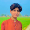 Bilal Hussain